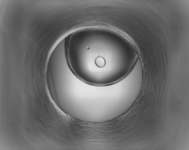 X0000080661536200612221038