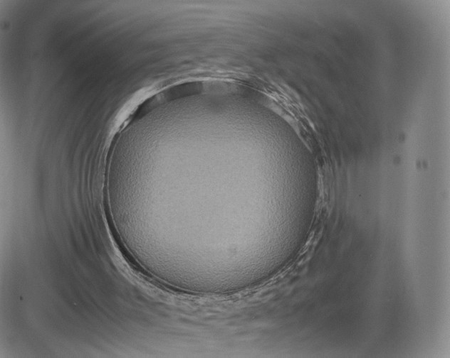 X0000080660003200612301347