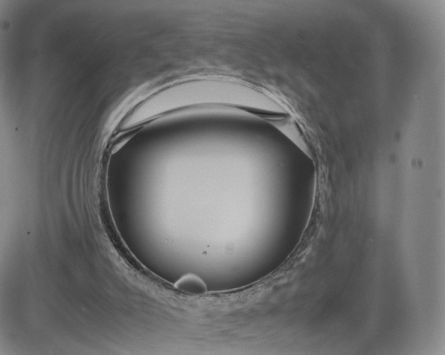 X0000080660007200612301347