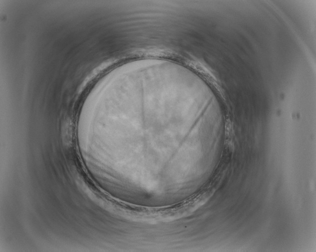 X0000080660012200612301346