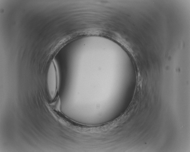 X0000080660013200612301346