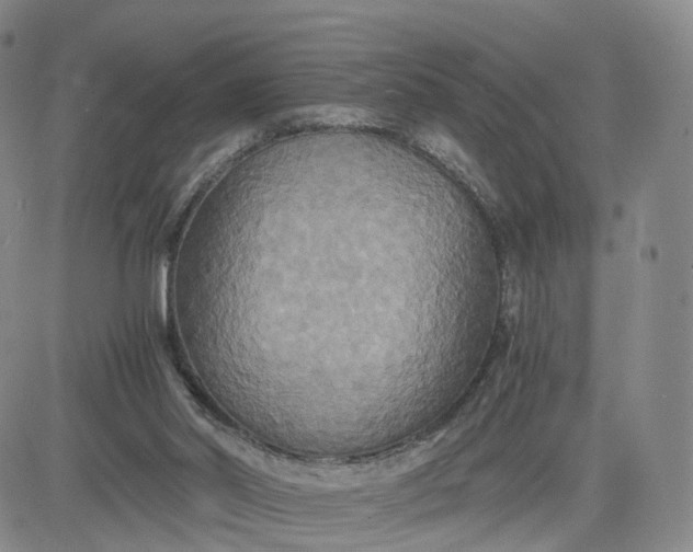 X0000080660014200612301346