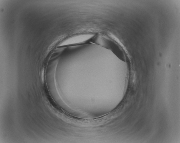 X0000080660019200612301346