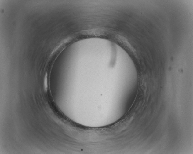 X0000080660020200612301346