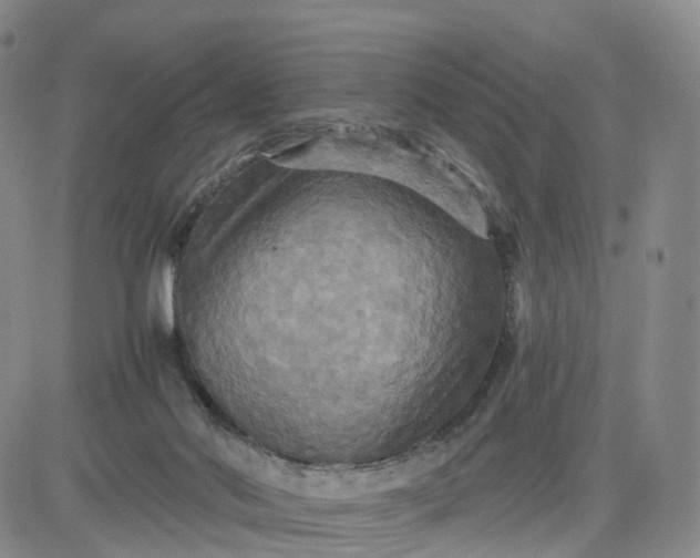 X0000080660022200612301346