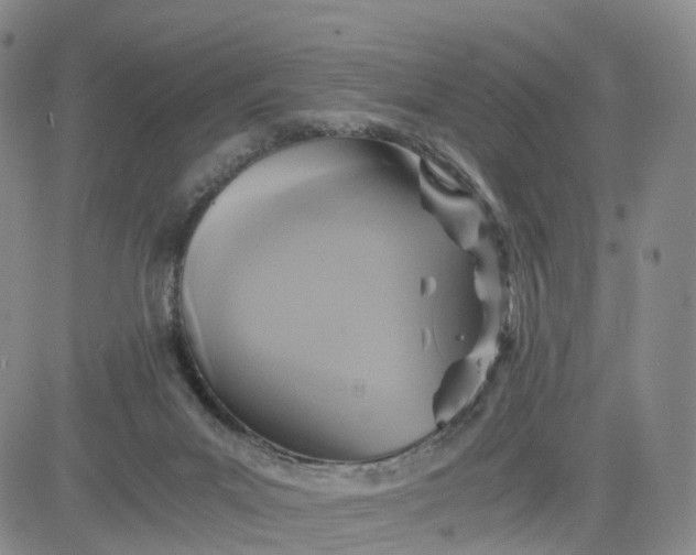 X0000080660023200612301346