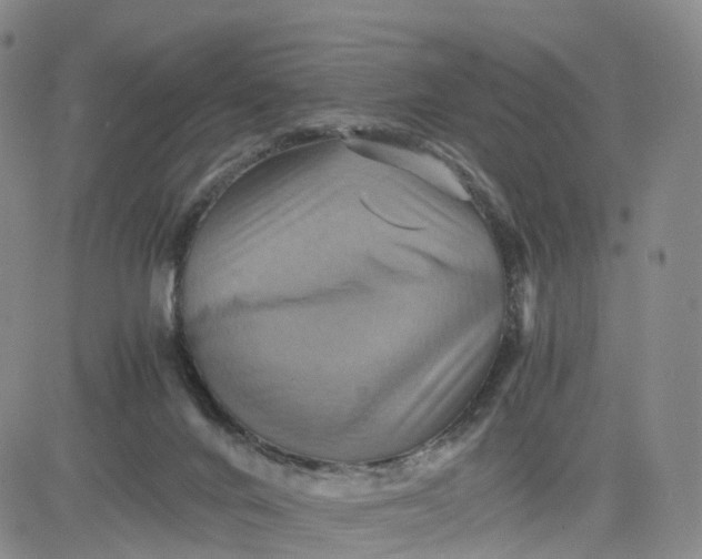 X0000080660024200612301346