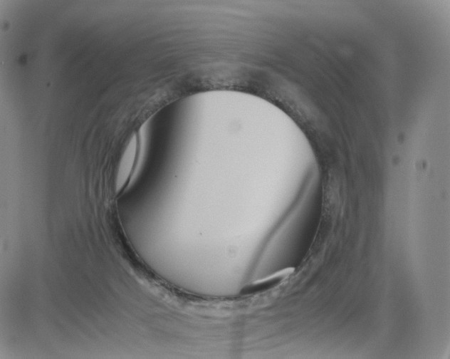 X0000080660025200612301346