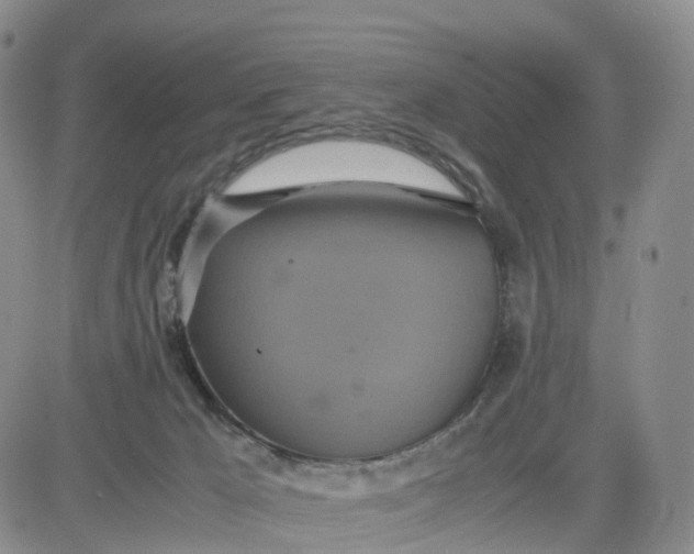 X0000080660029200612301346