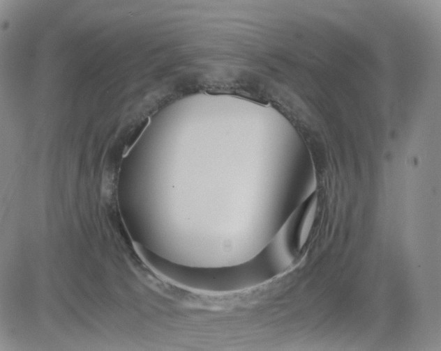 X0000080660033200612301346