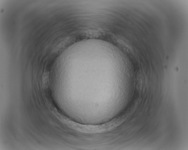 X0000080660034200612301346