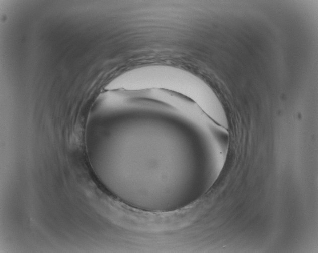 X0000080660035200612301346