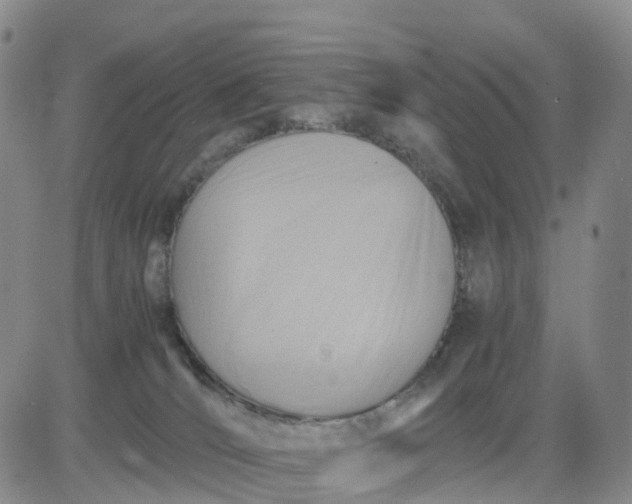 X0000080660036200612301346