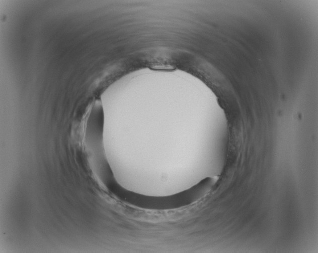 X0000080660037200612301346