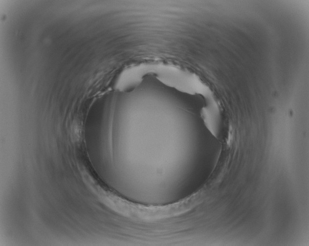 X0000080660039200612301346