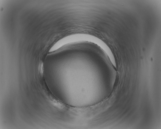 X0000080660041200612301346