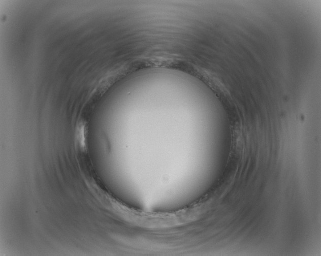 X0000080660042200612301346