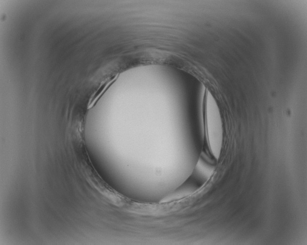 X0000080660045200612301346