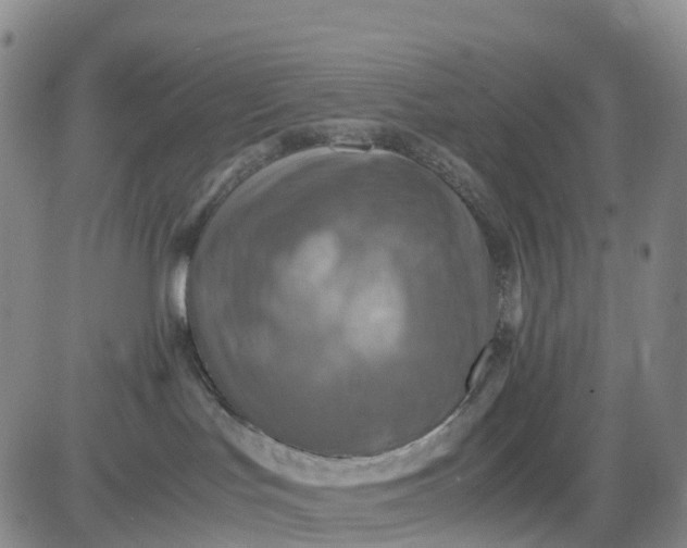 X0000080660047200612301346