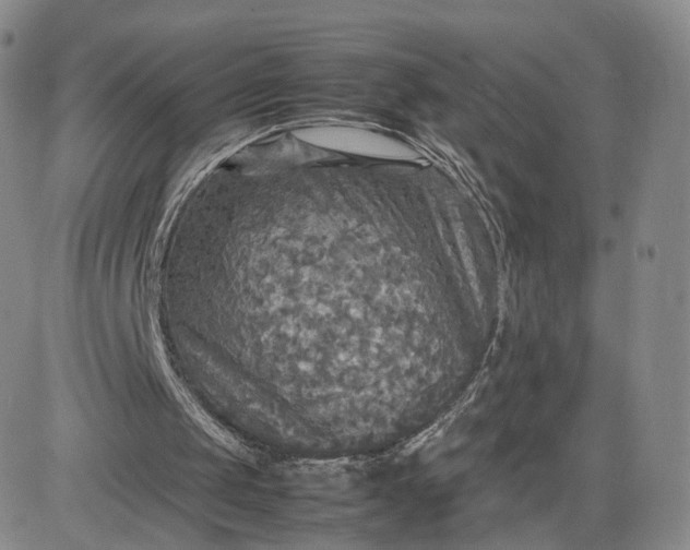 X0000080660049200612301345