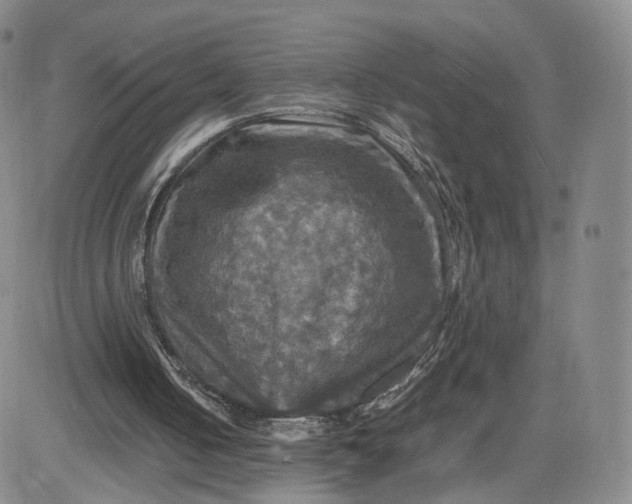 X0000080660050200612301345