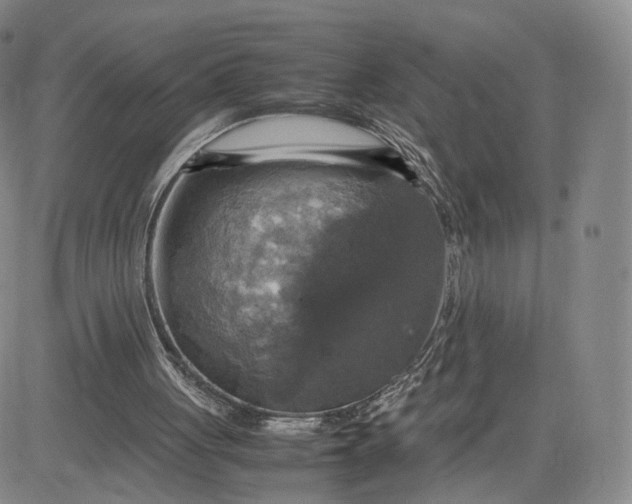 X0000080660051200612301345