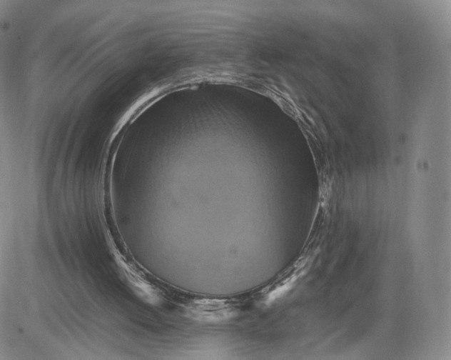 X0000080660052200612301345