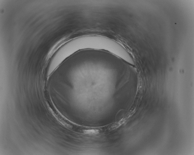 X0000080660053200612301345