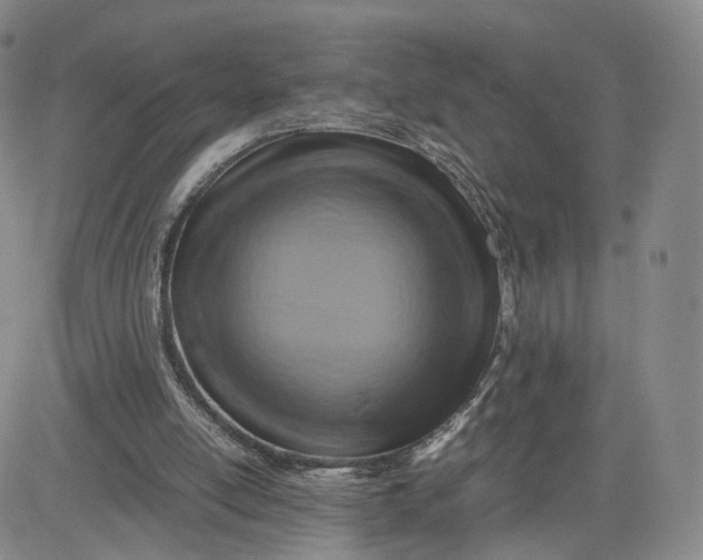 X0000080660054200612301345