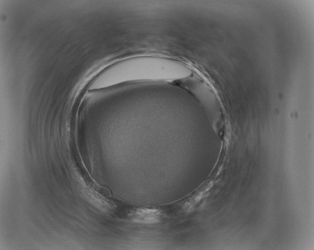 X0000080660055200612301345