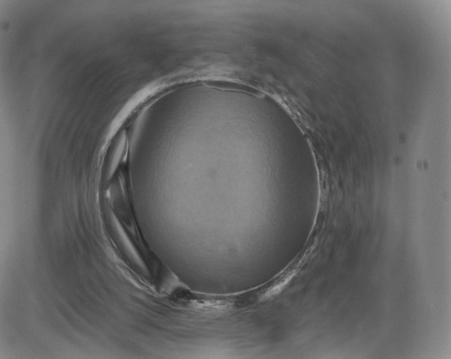 X0000080660056200612301345