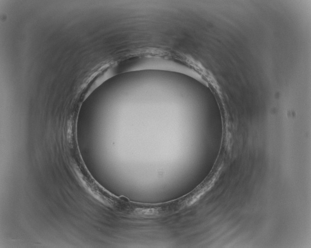 X0000080660057200612301345