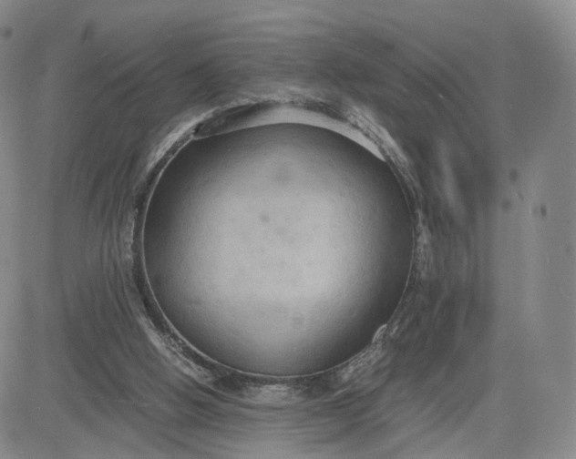 X0000080660058200612301345