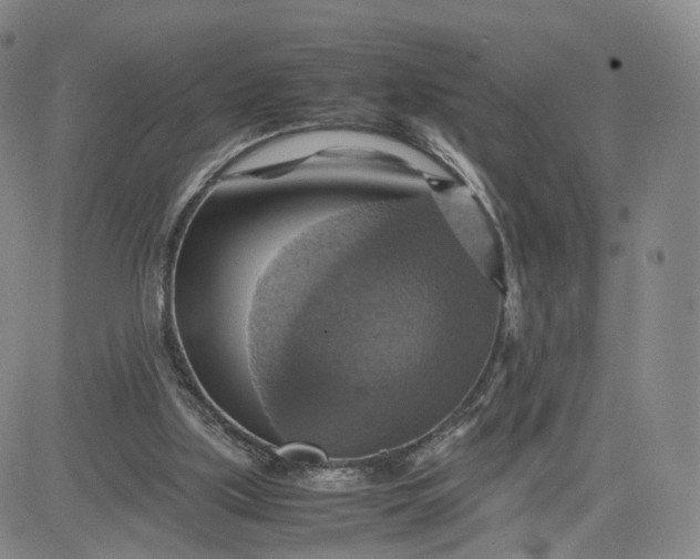 X0000080660059200612301345