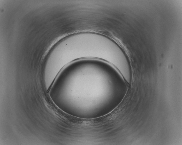 X0000080660060200612301345