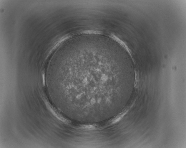 X0000080660061200612301345