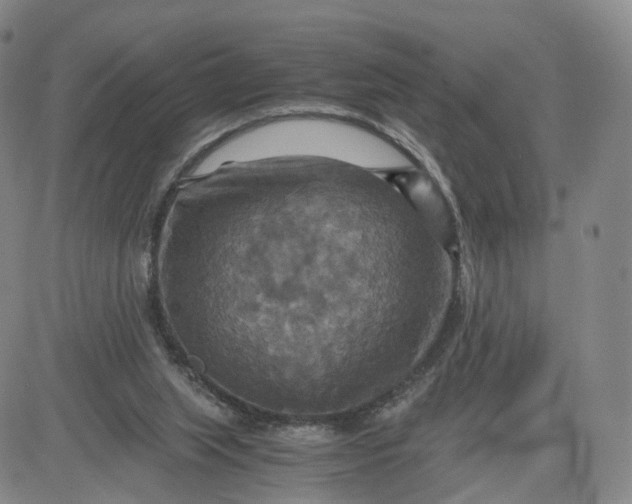 X0000080660063200612301345