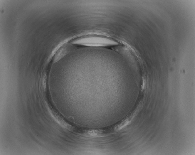 X0000080660064200612301345