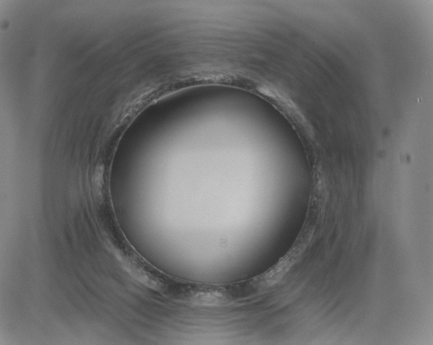 X0000080660066200612301345