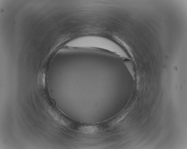 X0000080660067200612301345