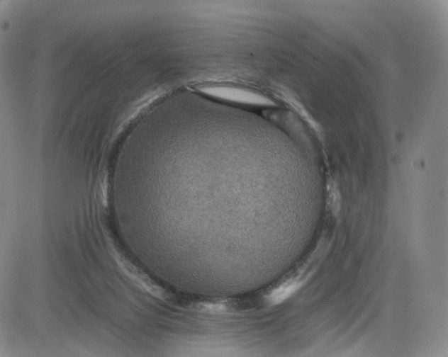 X0000080660068200612301345