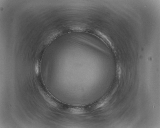 X0000080660069200612301345