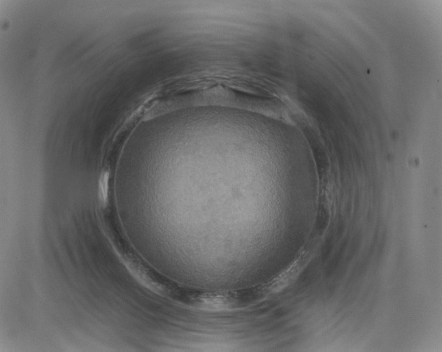 X0000080660070200612301345