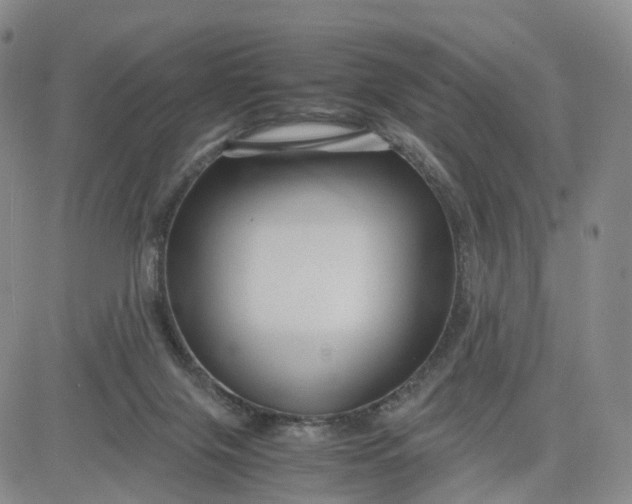 X0000080660071200612301345