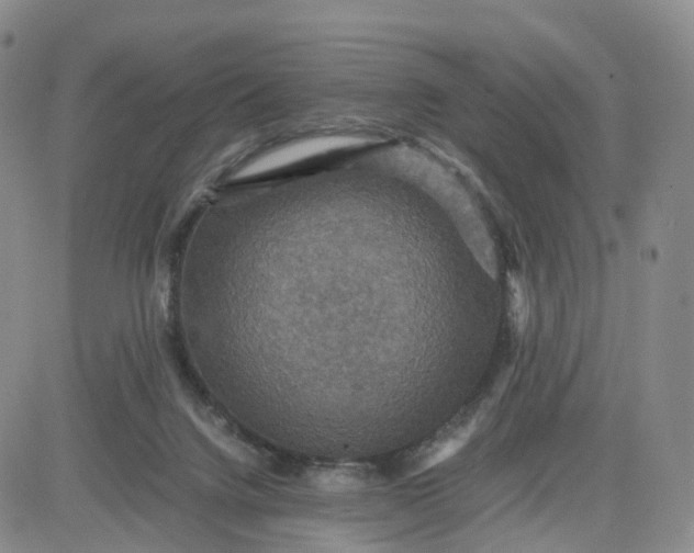 X0000080660072200612301345