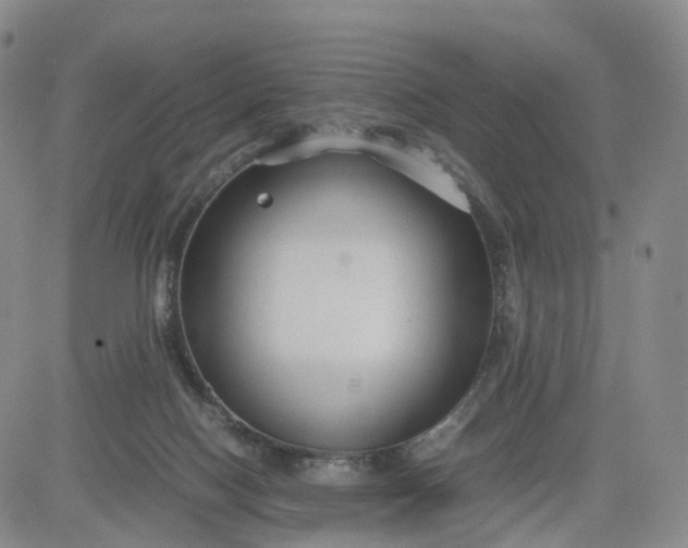 X0000080660074200612301346