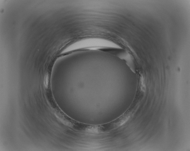 X0000080660076200612301346