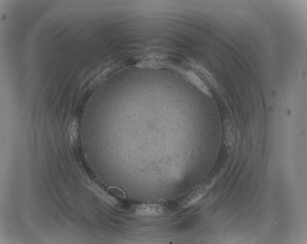 X0000080660077200612301346