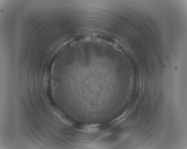 X0000080660078200612301346