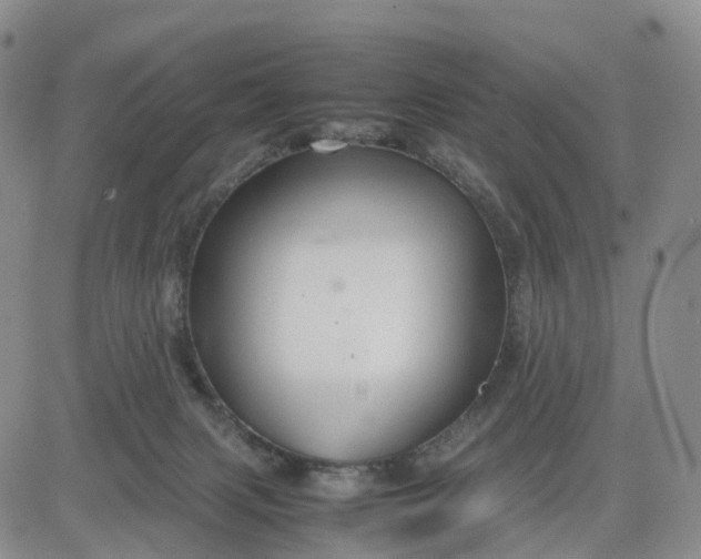 X0000080660079200612301346